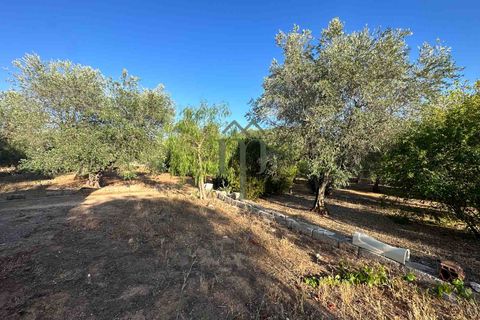 Ruïna a Ostuni, Brindisi, Ostuni - € 43.000 | Ref: Lamia Vite - foto 27
